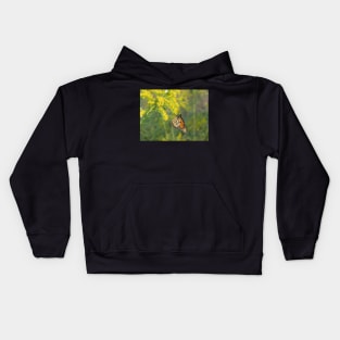 The  beauty of a Monarch Kids Hoodie